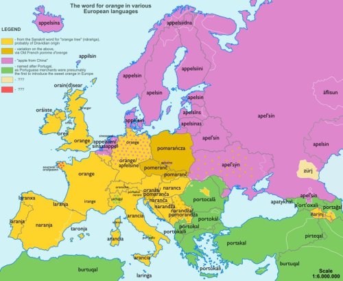 The word orange in different European languages.More word maps »correiajoao:TIL that &ldqu