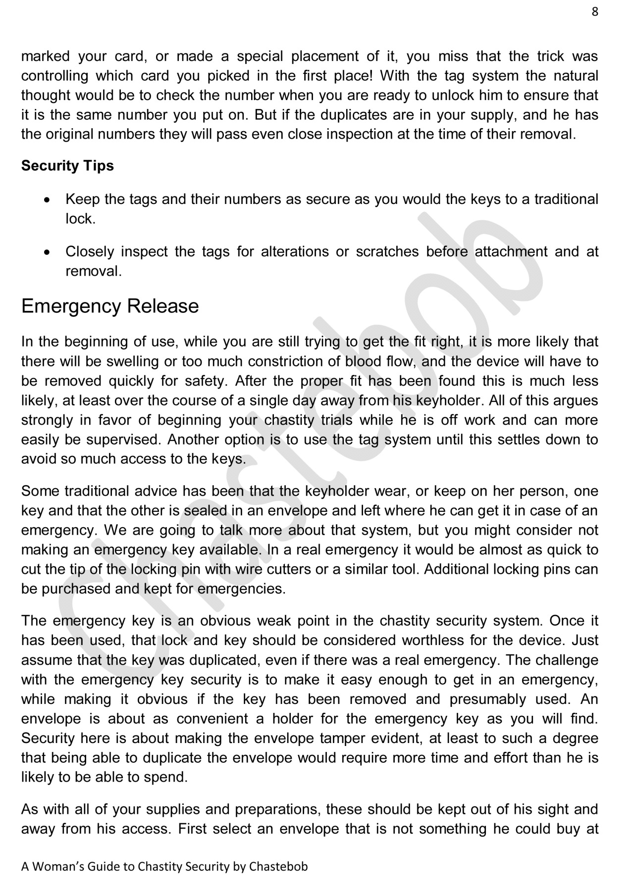 Expanded guide to chastity security.