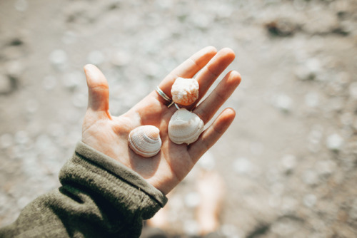 natalieallenco:Puerto Peñasco