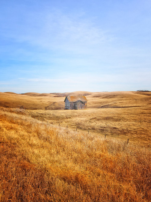 fancyadance:Little Houses in Iceland, Canada, Australia, Romania and New Zealandmore