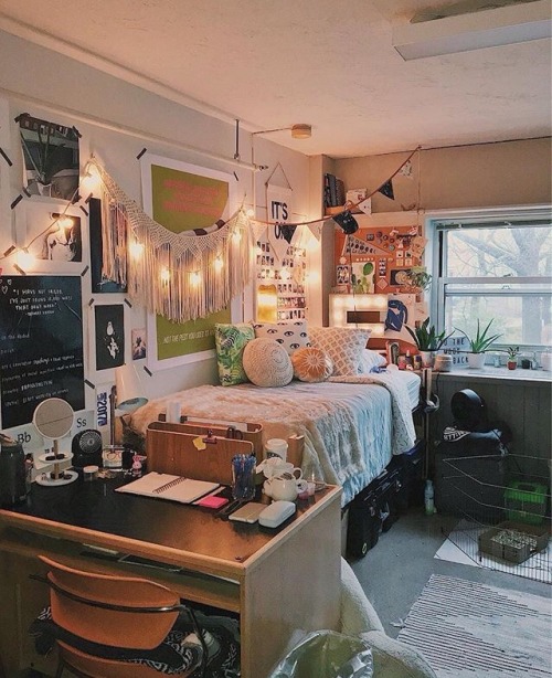 Like if you want to study/work/sleep in here! Omg I’m sorry but I have to post this picture im