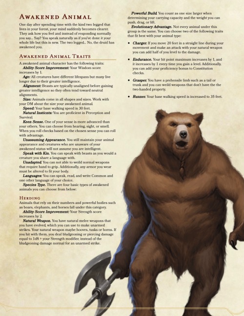 Races and Classes — This is not just so I can finally DM a shrek game