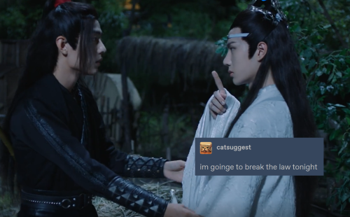 howdydowdy:drunk!lan wangji as catsuggest, part 2(part 1) (part 3)