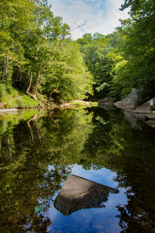  Holmes Run Park09/2016 - Alexandria, Virginia, USA 