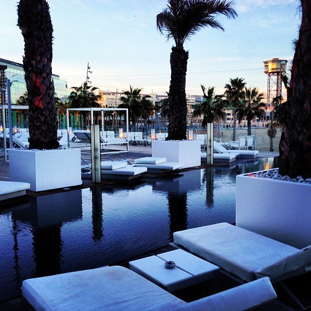 camillediamonds:  ♦