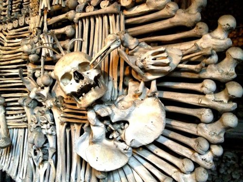 aussiegrunt:  Sedlec Ossuary. Kutna Hora, Czech Republik when there’s no more room in hell the dead will walk the earth when there’s no more room in the ground the dead will be piled high. to solve the problem of over-crowded cemetaries, the dead