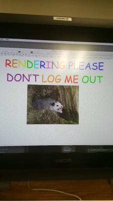 cinnabees:  megasov:  cinnabees:  I had to leave my lab computer for a bit while working so I posted this  did they log you out  No the possum said not to. 