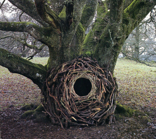 landscape-photo-graphy:  Artist’s Temporary Decaying Art Brings Enchantment To The Forest British sculptor Andy Goldsworthy is known for his phenomenal and temporary, installations which involve using natural elements, ranging from sticks, stones,