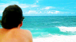 fuck-yeah&ndash;lost:  lost scenery - season 1 