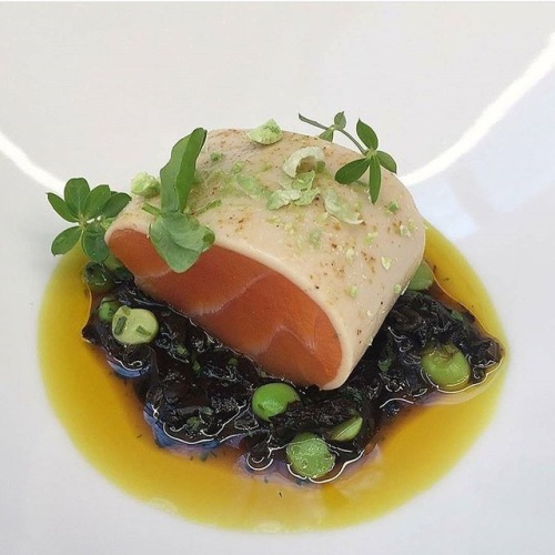 Passmore Ranch steelhead trout chaude-froide with black trumpet mushrooms à la grecque. ✅ By 