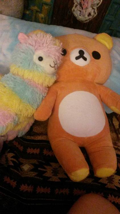 My new teddy!!