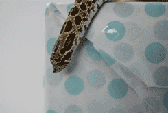 pretzel-the-hognose:  Pretzel spent half of his birthday trying to understand the concept of wrapping paper.  He failed. But it was very cute. 