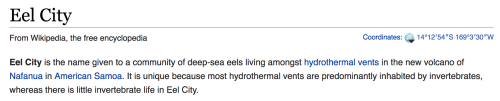 morbidmusing: metaflesh: take me to eel city. i wanna go take me down to the eel city where the eels