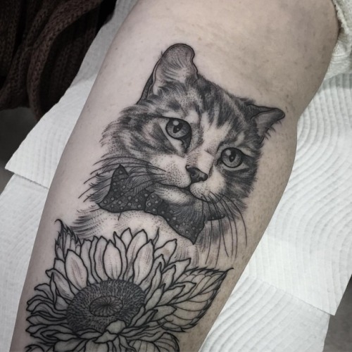 Bartok the cat for Sarah  (I’ll be adding colour to the sunflower next time) @flttattoostudio (at FL