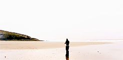 doctor who dedicated blog