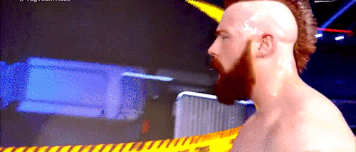 mitchtheficus:I am so here for enthusiastically affectionate Cesaro