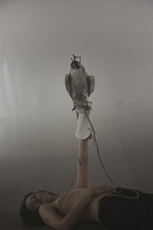 111177771111:anne imhof angst