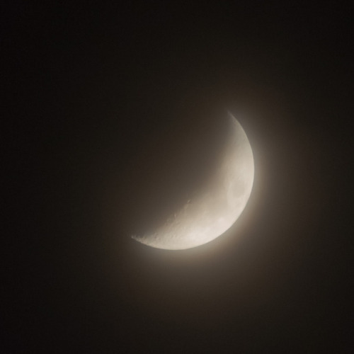 meme-xx:Moon (May 20, 2018)