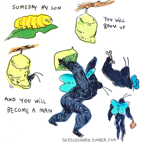 holistic-fiber:sketchshark:Someday, son.Butterfly man, mothmans lesser known brother