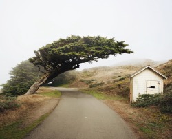 coreywolfenbarger:  Point Reyes National