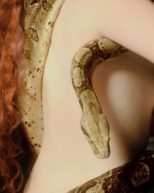 blackrosesociety-vampyres:  Lilith and the serpent ‒ A.J Hamilton @thetogfather