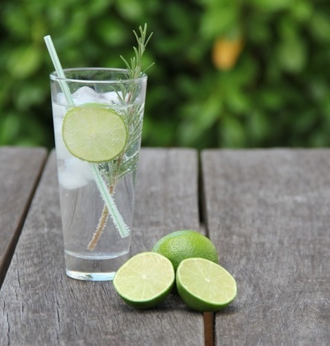 Lemon Gin And Tonic Cocktail Recipe