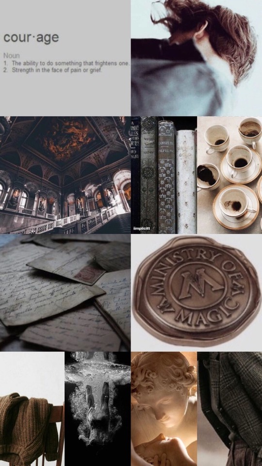 Theseus Scamander