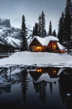 motivationsforlife:  Cozy by Anthony Robin