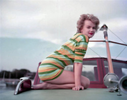 retrogasm:Anne Francis