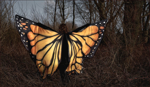 sosuperawesome:  Hand painted silk butterfly wings by PracowniaDor on Etsy  • So Super Awesome is also on Facebook, Twitter and Pinterest • 
