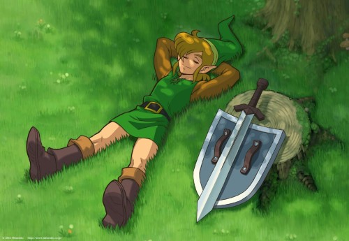mrcapitalspike: The Legend of Zelda: A Link adult photos
