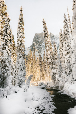 chrisamat:  Emerald Lake, BC - www.chrisamat.com