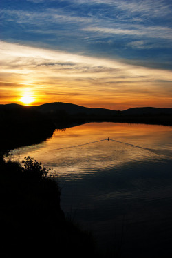 burning-soul:  Canada Goose