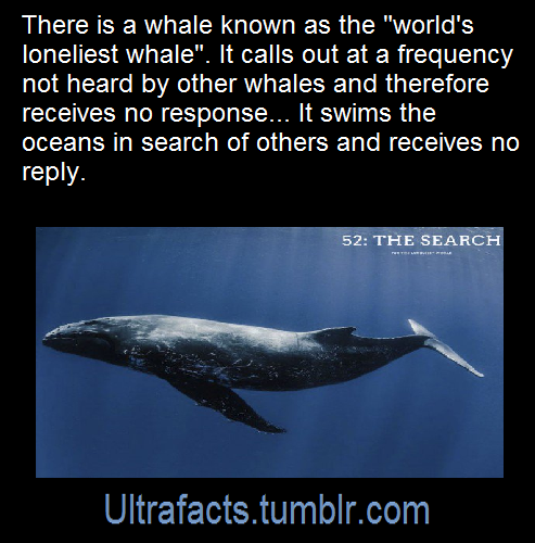 Ultrafacts
