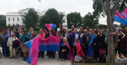 Bi-Trans-Alliance:  September 21, 2015:  Impromptu Bi Rally At The White House During