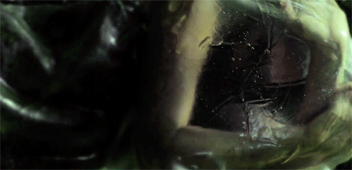 dctvladies:First, I was a seed. Then a sprout. Now, I’ve bloomed.