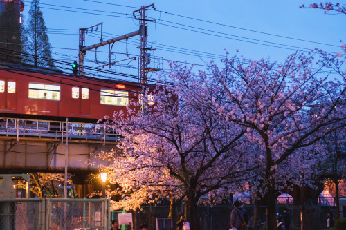 Nakanocho - Osaka, Japan