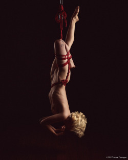 jesseflanagan: Vi in MyNawashi rope Rigging/photo by Jesse Flanagan (self)   Instagram | Facebook | Full sets available on Findrow    