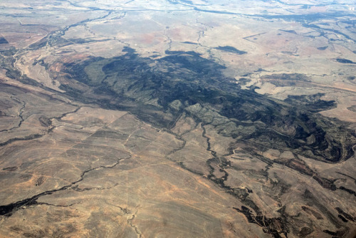 geologicaltravels:2017: Folding in sediments near Emerald, central Queensland