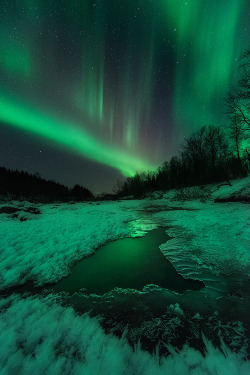 enchanting-landscapes:   3 Years by Arild