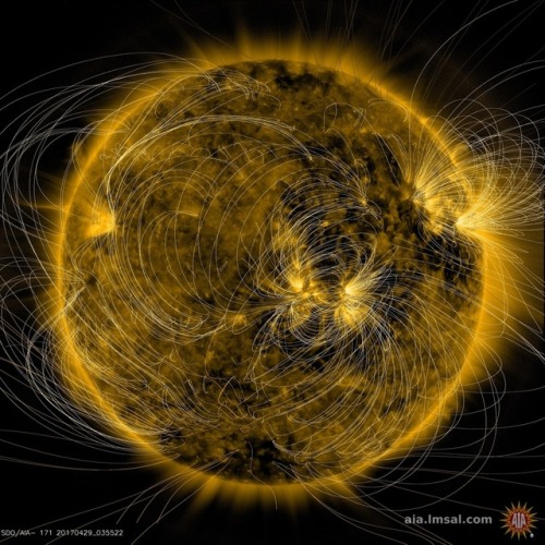 Latest SDO PFSS Image For: AIA 0171