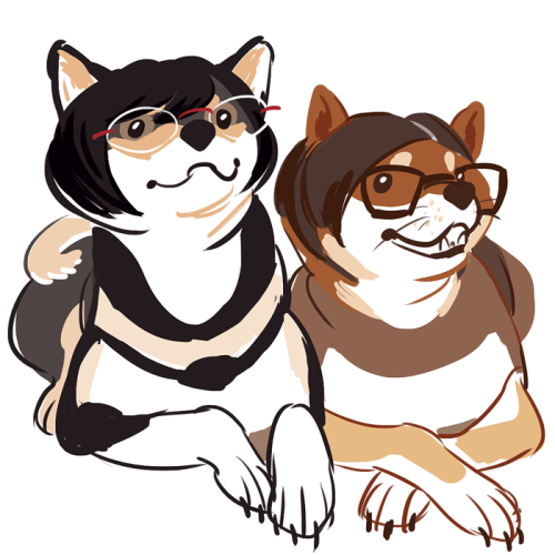viivus:  shibe-vivi and shibe-richard