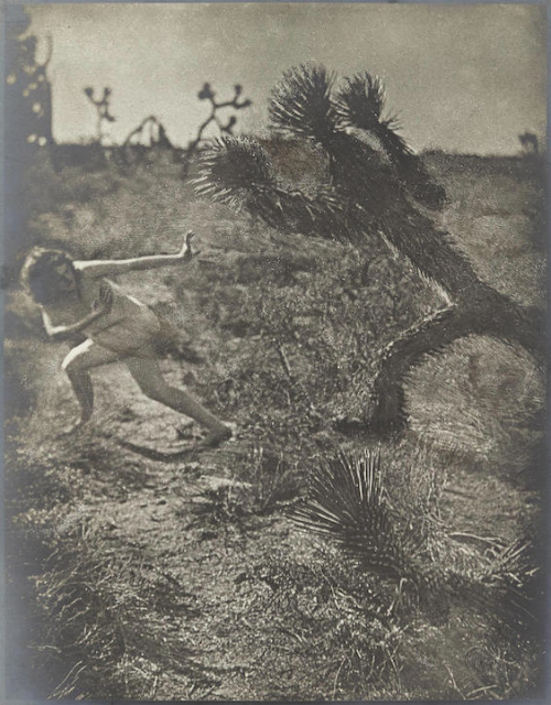  Louis Fleckenstein (1866-1943)Dancing Master, 1930 Apache Dance, 1930 The Contortionist, 1930 Bogey