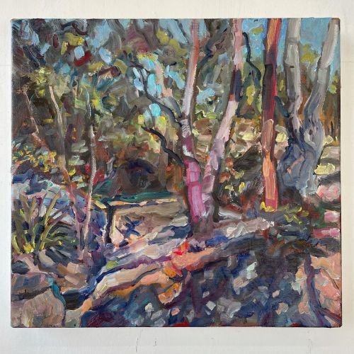 Dry creek Wodi Wodi Track, 38x41, oil on linen. Such tranquillity in this place. #escarpment #austra