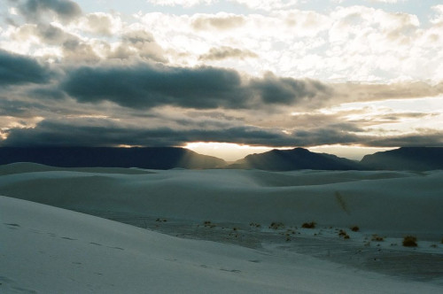 F l e e t i n gWhite Sands National Monument, NM | February 2020Images shot by me (dcci) with a Cano