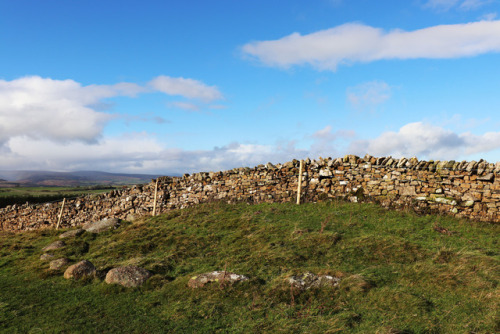 ‘Iron Hills’ Northern Stone Circle, near Shap, Cumbria, Lake District, 4.11.17.This half