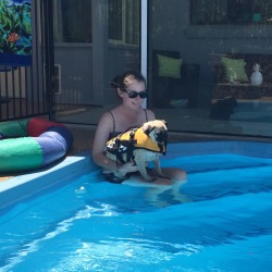 CALI THE PUG