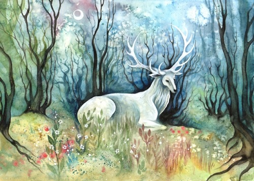 Deers and does. Watercolours on paper. https://www.instagram.com/sieskja.raevflicka/