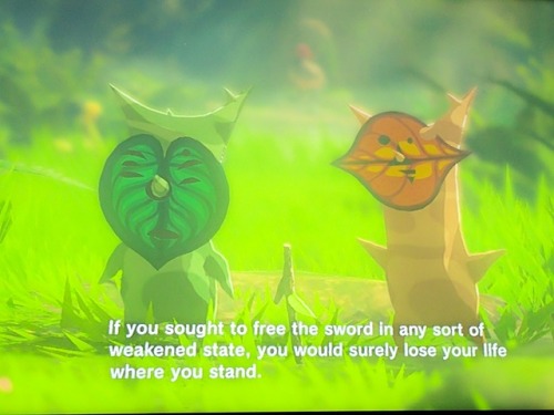 I love the Koroks so much