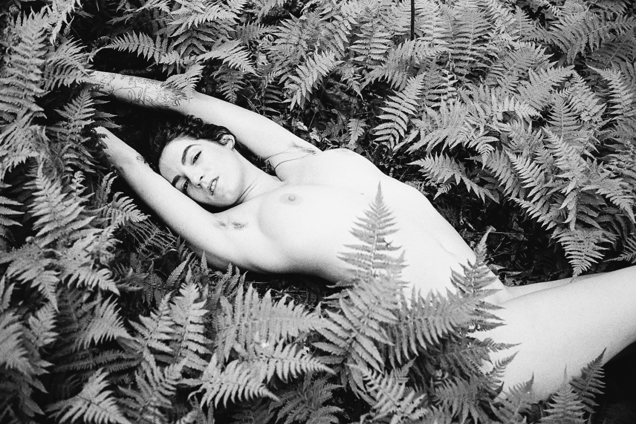 alveoliphotography:  Ghost fern. June, 2015.  Stevie Macaroni X Alveoli Photography